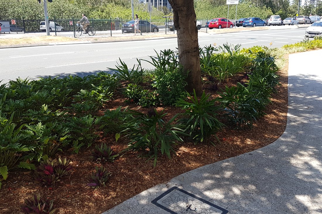 Pacific Fair — mulched bed corner with newly-planted shrubs